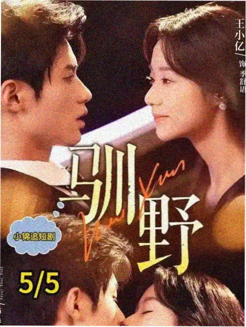 长夜将尽年代群像剧集磁力搜索收录封面